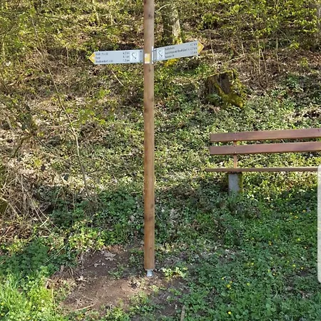 In Der Stegwiese Apartment *