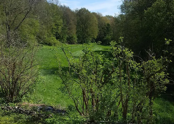 Apartamento In Der Stegwiese *